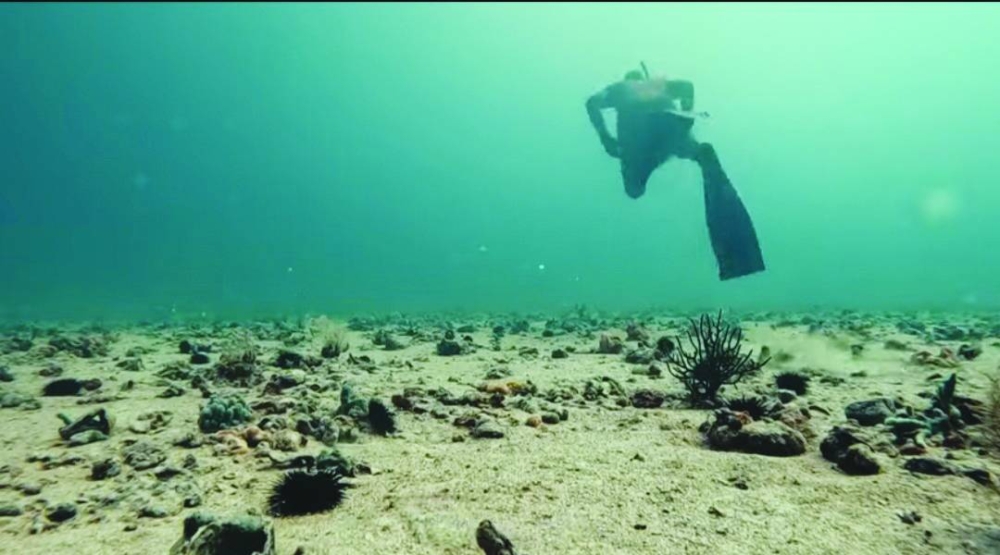 For al-Sada, the sea is not merely a workplace; it is a sanctuary where he feels most alive. (Screengrabs from Voices of Qatar's YouTube channel).