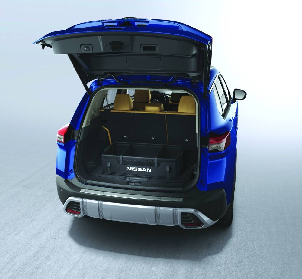 Removable tote cargo organiser