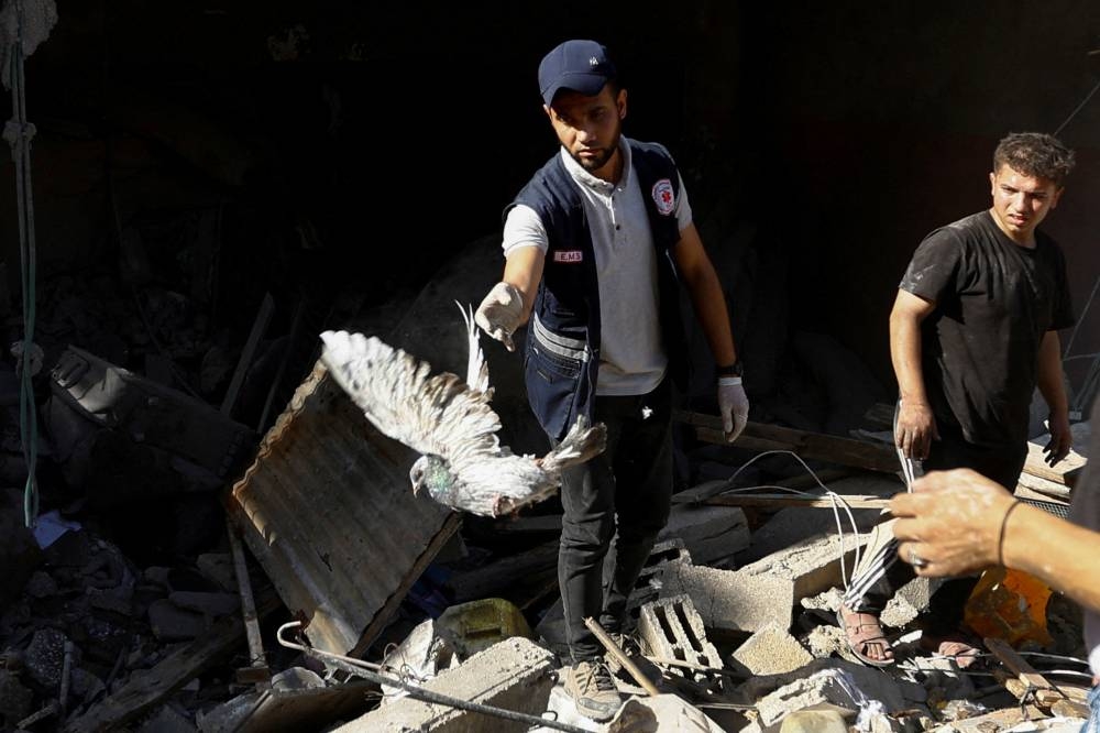 A Palestinian removes a pigeon from under the rubble while searching for casualties, at the site of an Israeli strike on a house in Khan Younis in the southern Gaza Strip, Monday. REUTERS