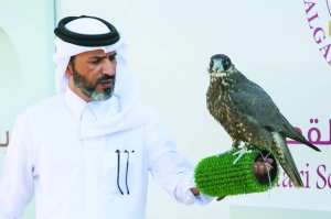 Falcons championship begins - Gulf Times - Vimarsana News