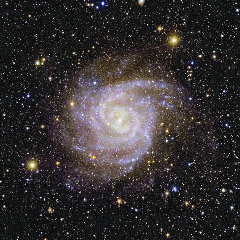 
A spiral-shaped galaxy called “Hidden Galaxy”, also known as IC 342 or Cadwell 5, captured by Euclid telescope seen in this undated handout image. (Reuters) 