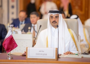 Not words, but strong action needed against Israeli war on Gaza: Amir - Vimarsana News