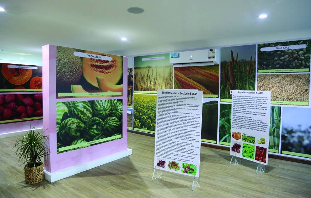 Snapshots from the opening of Sudan's pavilion at the expo.