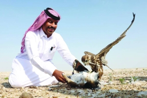 Falcons contests launched - Gulf Times - Vimarsana News