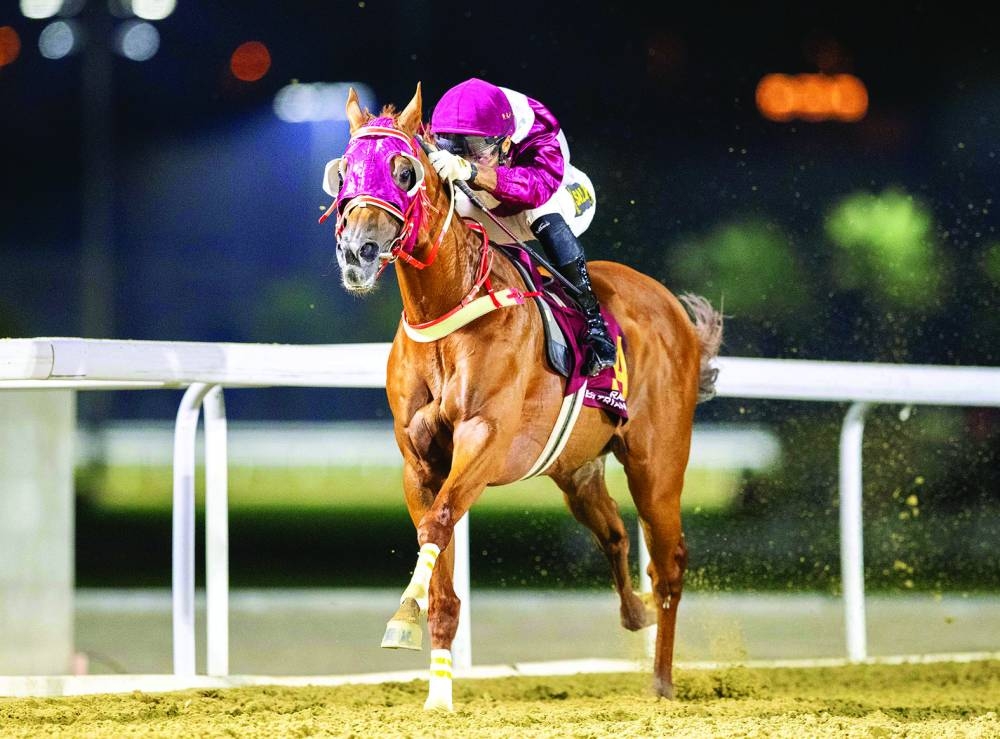 
Saleh Salem al-Marri leads Suheal Qatar to Bu Samrah Cup victory at the Al Rayyan Racecourse yesterday. PICTURES: Juhaim 