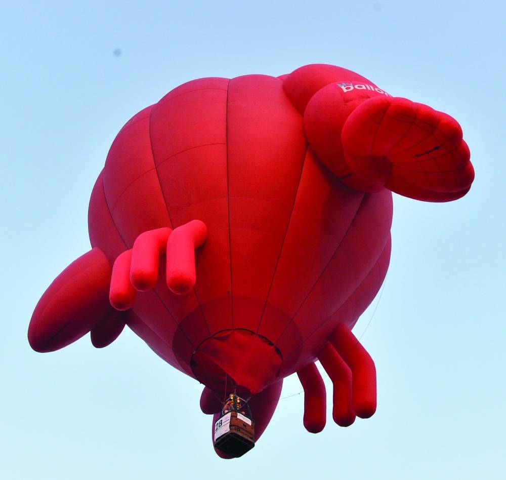  PICTURE: Shaji Kayamkulam