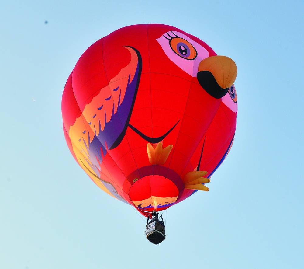  PICTURE: Shaji Kayamkulam