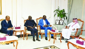 Qatar, Senegal chambers discuss ways to bolster private sector ties - Vimarsana News
