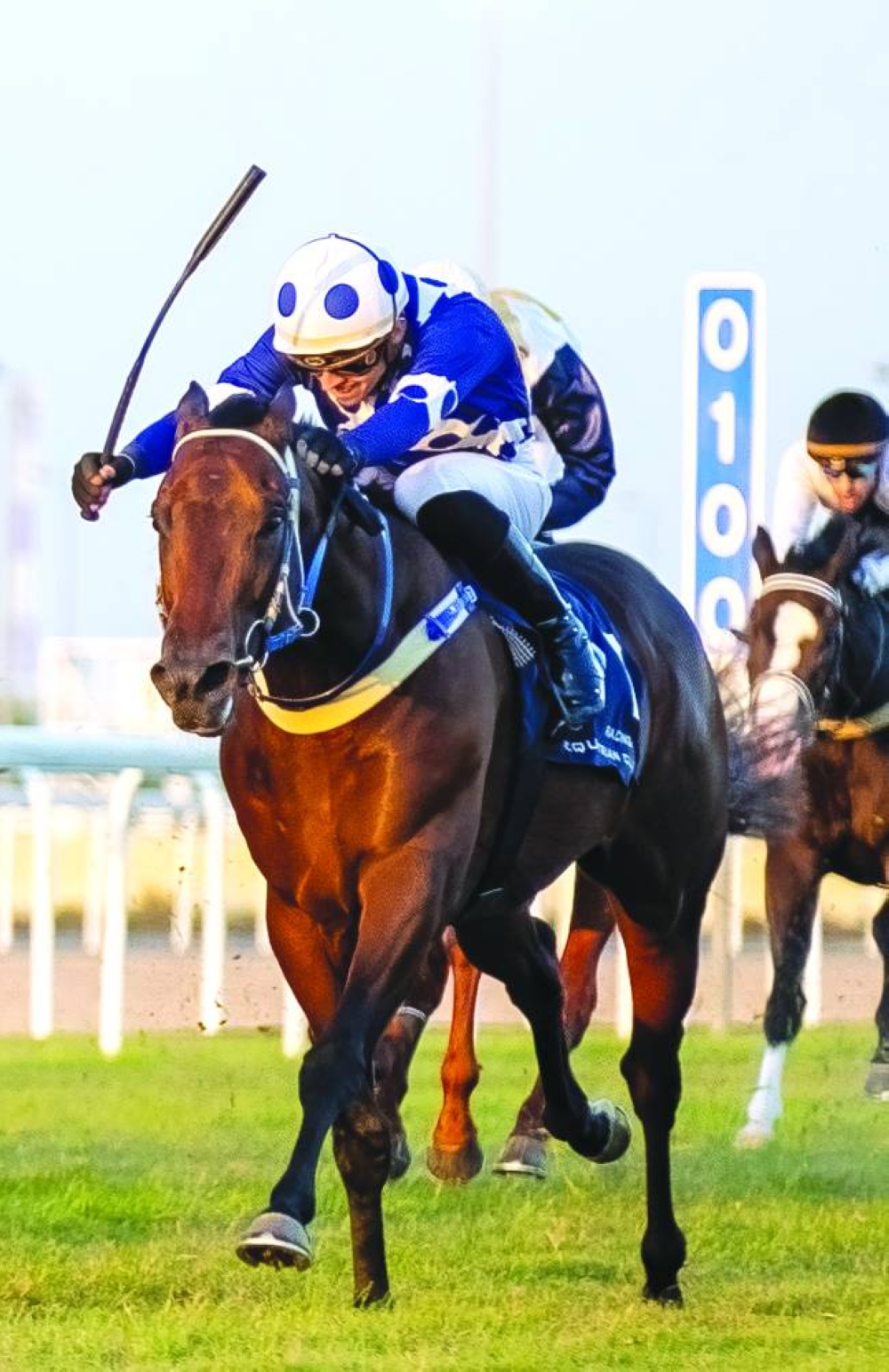 Jockey Olivier d'Andigne guided Never Simple to Al Uqda Cup victory yesterday.