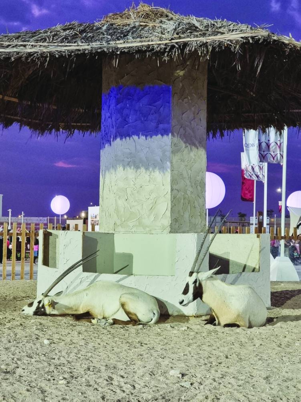 PICTURE: Joey Aguilar