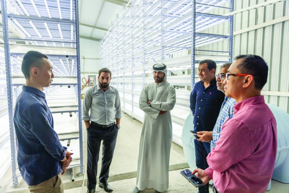 As the head of the farm, Fardan Fahad Alfardan's main aim is clear: to produce premium products that rival imports, ensuring self-sufficiency and sustainability for Qatar throughout the year.
