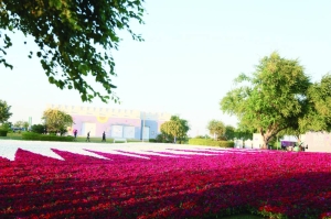 Largest Qatari flag made of flowers adds colour to Expo - Vimarsana News