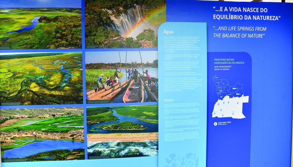 PICTURE: Shaji Kayamkulam