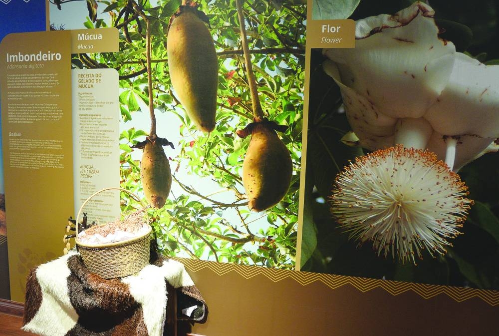 PICTURE: Shaji Kayamkulam