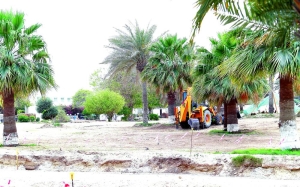 Al Wakra Park set to open during 2nd quarter next year - Vimarsana News