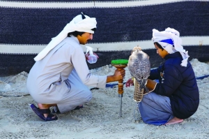 Young Falconer activities wrap up at Sbkhat Marmi - Vimarsana News