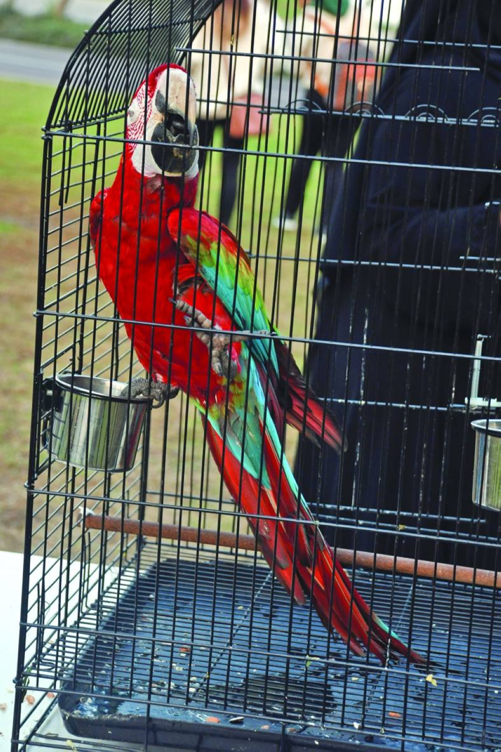  PICTURE: Shemeer Rasheed 