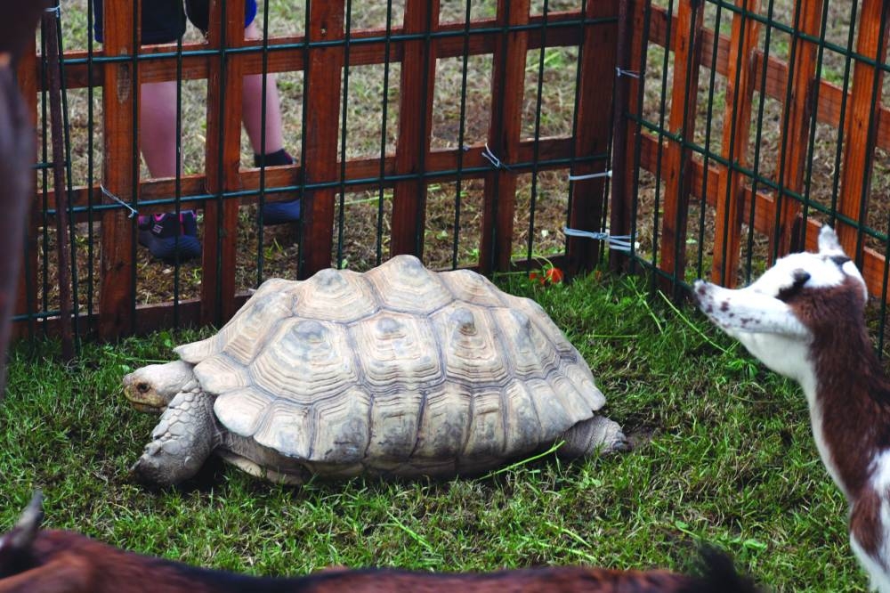  PICTURE: Shemeer Rasheed 