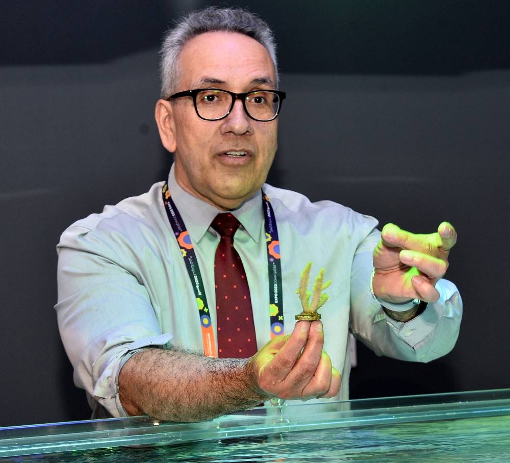 PICTURE: Shaji Kayamkulam