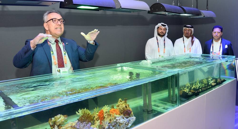 PICTURE: Shaji Kayamkulam