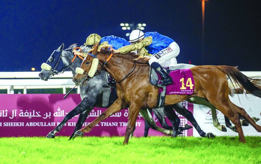 
Mickael Barzalona rides Razy to HH Sheikh Abdullah Bin Khalifa Al Thani Trophy victory. 