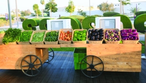 Fresh from the farms at Expo 2023 Doha - Vimarsana News