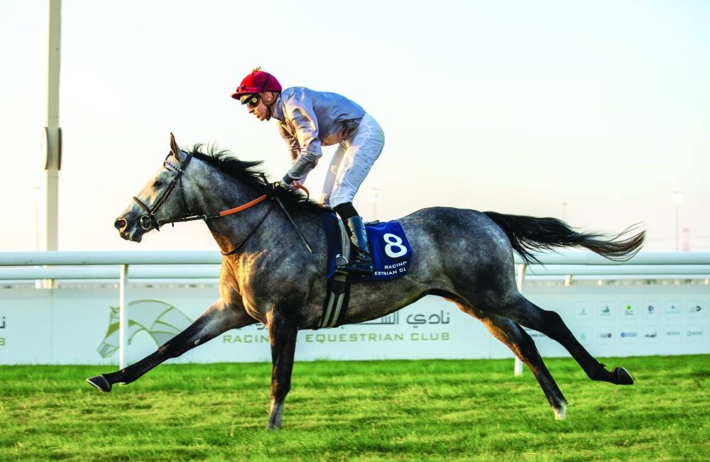 
Olivier d’Andigne leads Al Zwair to Athbah Cup win at the Al Uqda Racecourse. PICTURES: Juhaim 