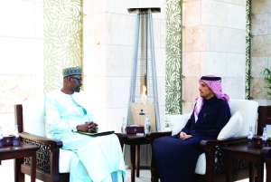 PM meets Mali's FM - Gulf Times - Vimarsana News