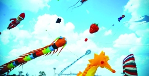 Kite Festival to add colour to Qatar skies - Vimarsana News