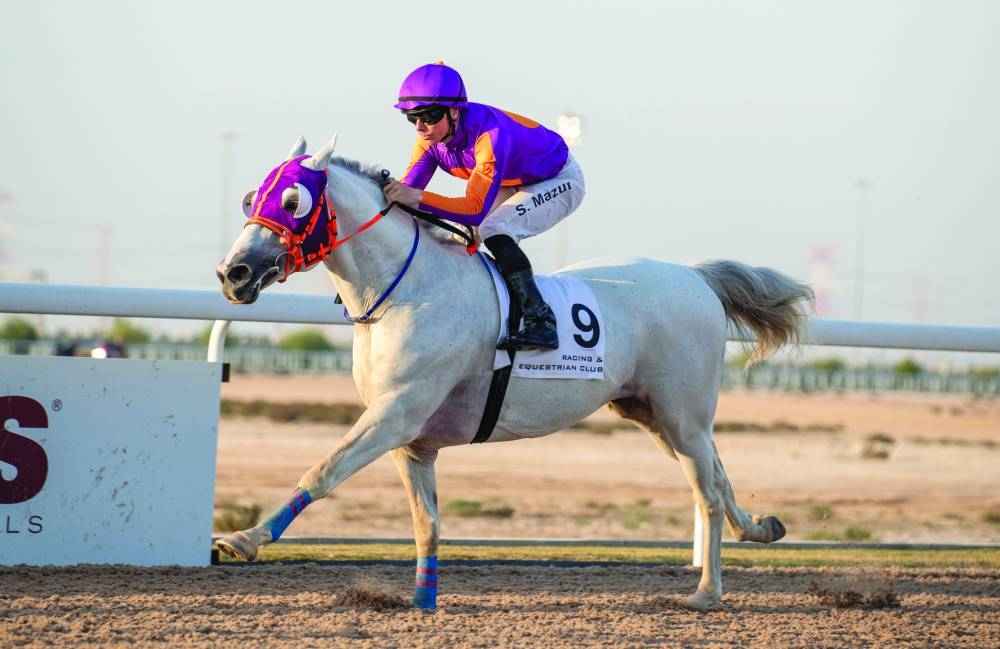 Jockey Szczepan Mazur guides Suka’ar to victory in the Mesaieed Cup on Wednesday.