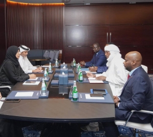 Health minister meets Chadian counterpart