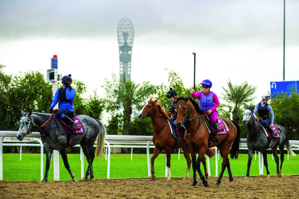 International horses and jockeys started their training on Monday for HH The Amir Sword Festival at the Al Rayyan Racecourse.
