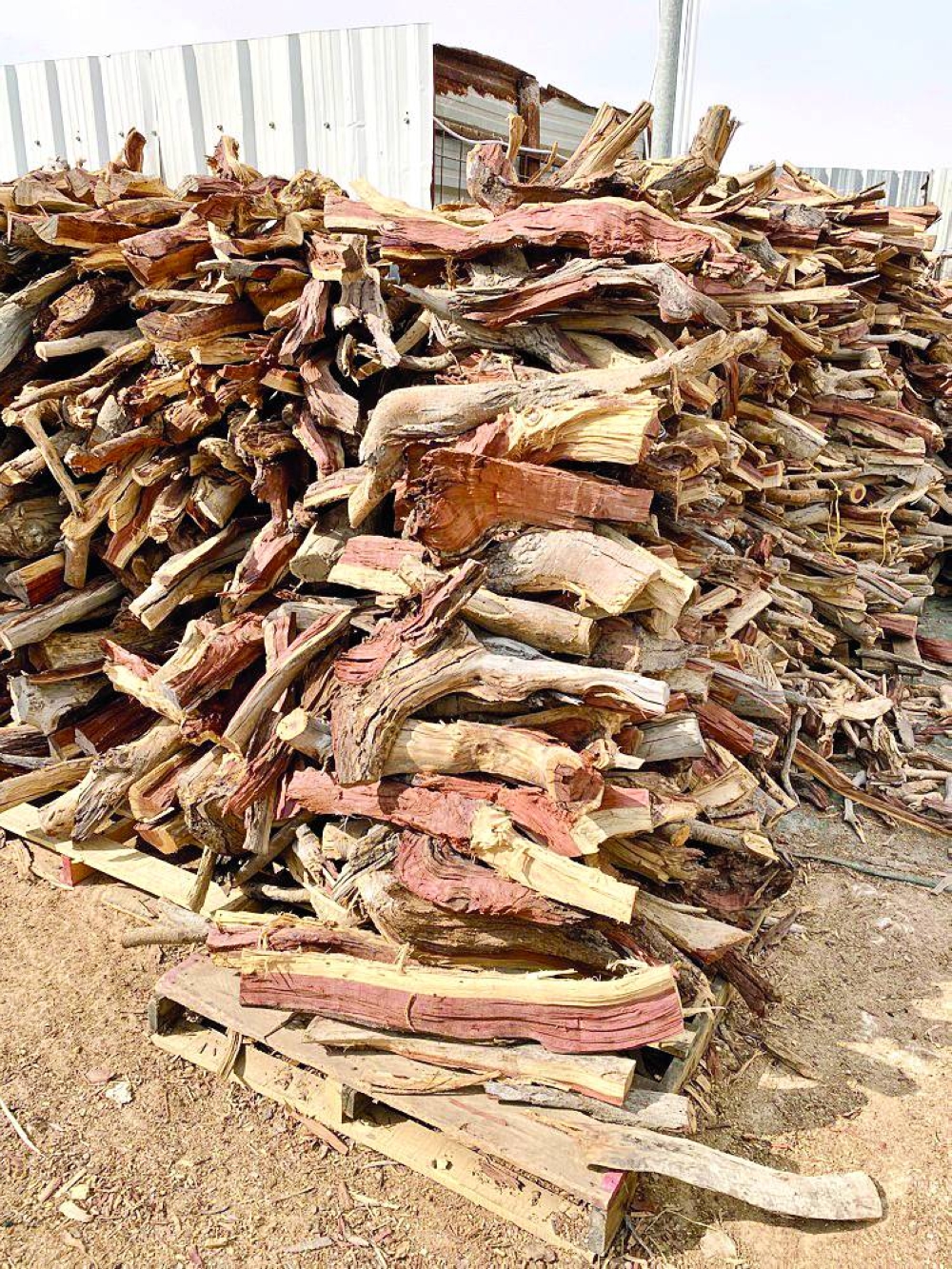 تجار تطبيقات البيع على الهواتف المحمولة يعرضون أطنان من حطب القرط والسمر