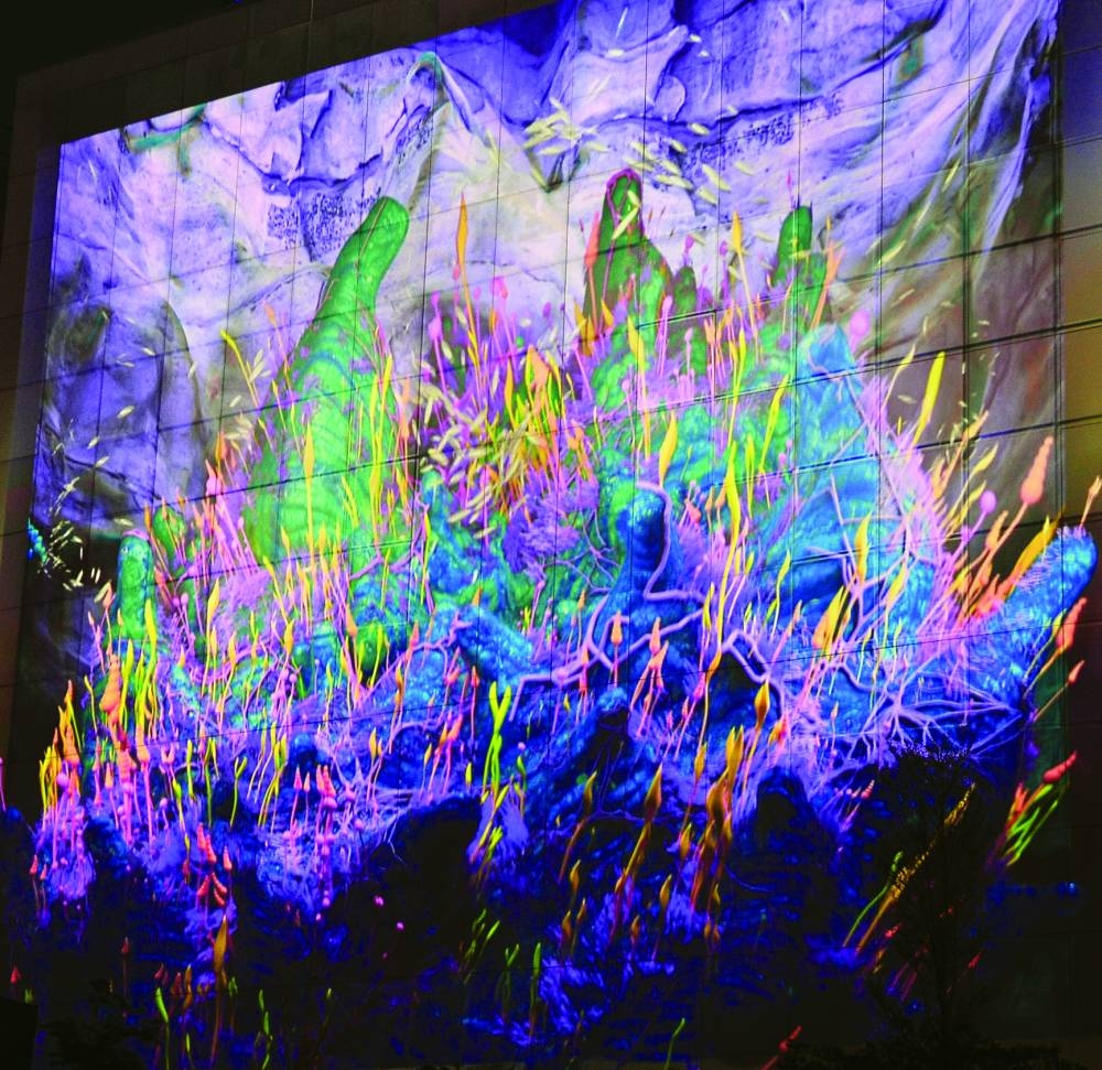 PICTURE: Shaji Kayamkulam