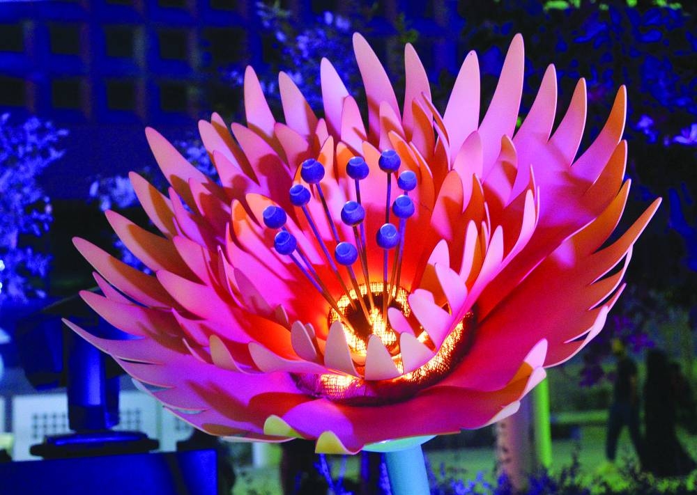 PICTURE: Shaji Kayamkulam