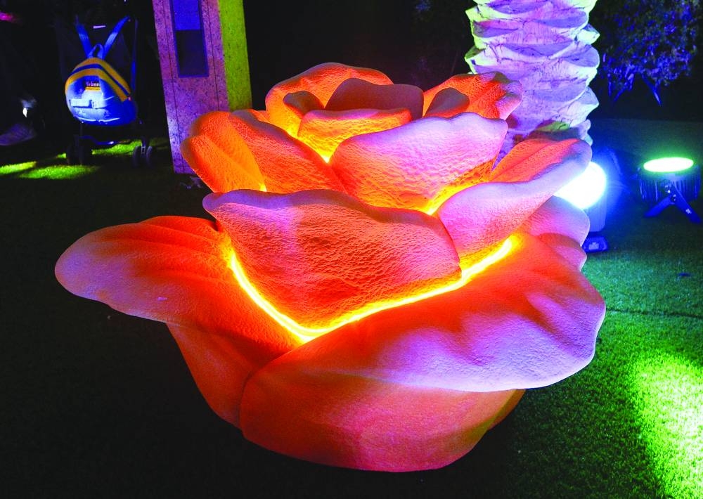 PICTURE: Shaji Kayamkulam