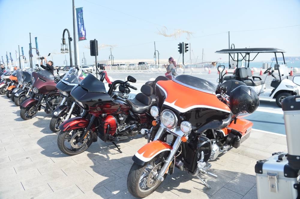 PICTURE: Shaji Kayamkulam