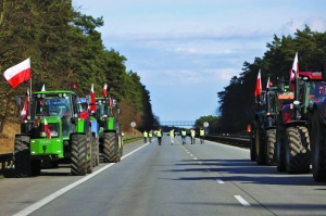 '160 tonnes of Ukrainian grain destroyed in Poland' - Vimarsana News