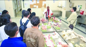 High school students explore careers in medicine at WCM-Q - Vimarsana News