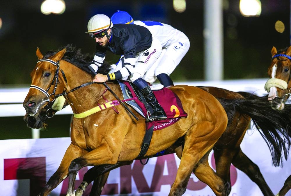 
Marco Casamento rides Aemilianus to HH Sheikh Mohamed Bin Khalifa Al Thani Trophy victory. PICTURES: Juhaim 