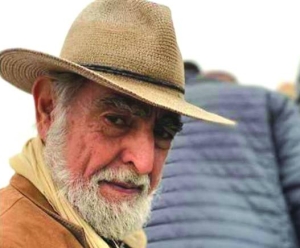 Top architect Abdel-Wahed El-Wakil wins ICAA's Arthur Ross award - Vimarsana News