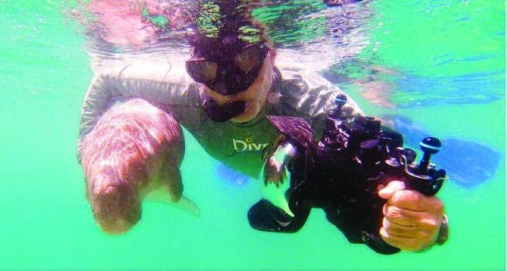 Calves depend on their mothers for over two years, as shown in a photo with a researcher and an orphaned calf.