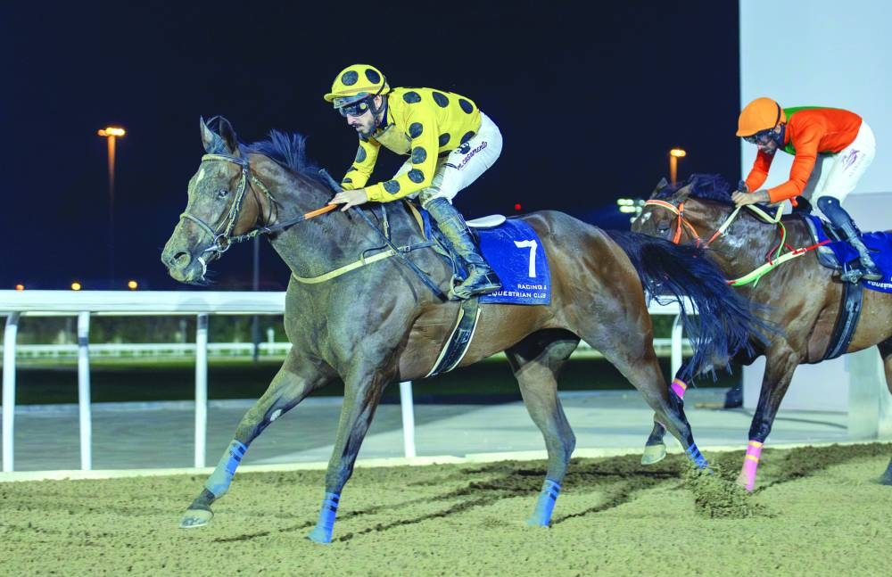 
Marco Casamento rides Al Gamamah to Al Mamoura Cup win at the 
Al Rayyan Racecourse.
 