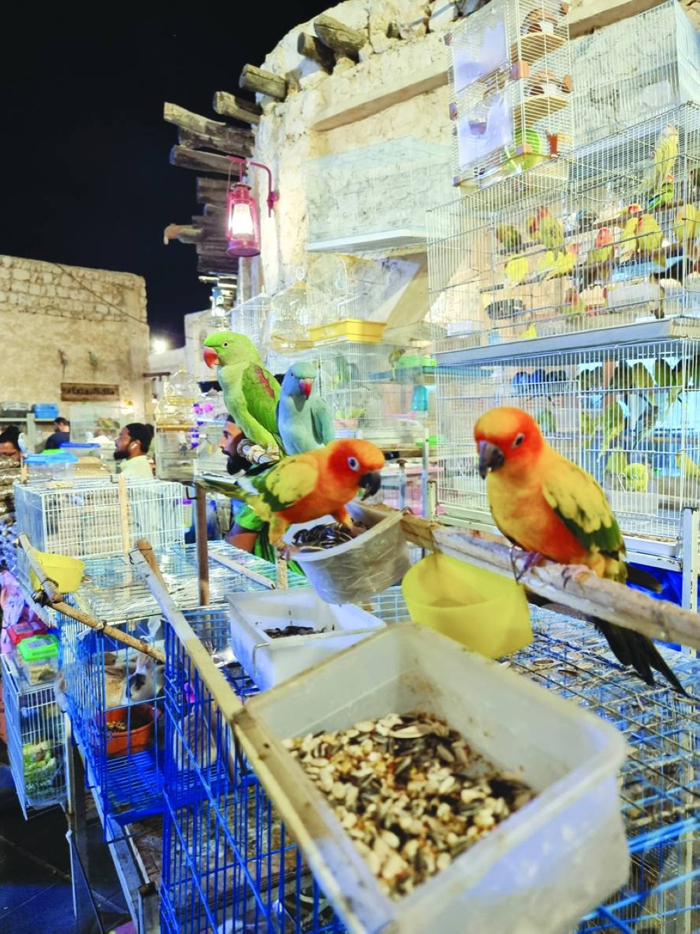 PICTURE: Joey Aguilar