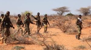 50 Al-Shabab militants killed in airstrike in center of Somalia - Vimarsana News