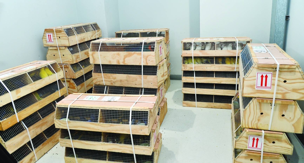 INSIDE PAGE PIC - The facility has separate rooms for birds