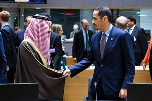 Ministerial committee meeting demands end to Gaza killings - Vimarsana News