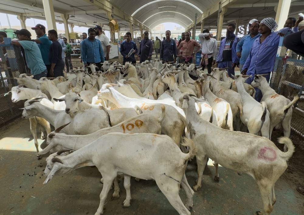 PICTURES: Noushad Thekkayil, Shameer Rasheed and Thajudheen