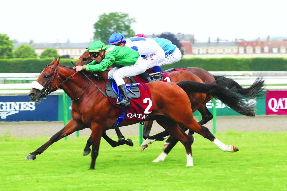
Alshanfara won last year’s edition of the Qatar Coupe de France des Chevaux Arabes. 