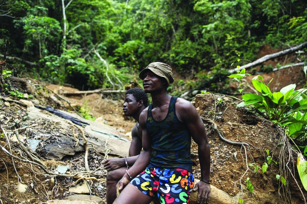 A National Protected Area Authority (NPAA) forest ranger stands near a fallen tree at an illegal logging and gold mining site in Kambui forest reserve outside Kenema, Sierra Leone. Right: Two suspected gold miners are briefly detained by forest rangers inside Kambui forest reserve outside Kenema. 